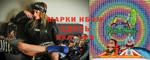 шишки Абинск
