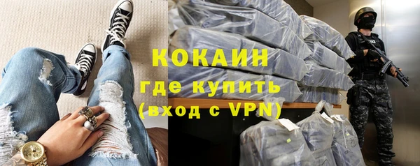 шишки Абинск